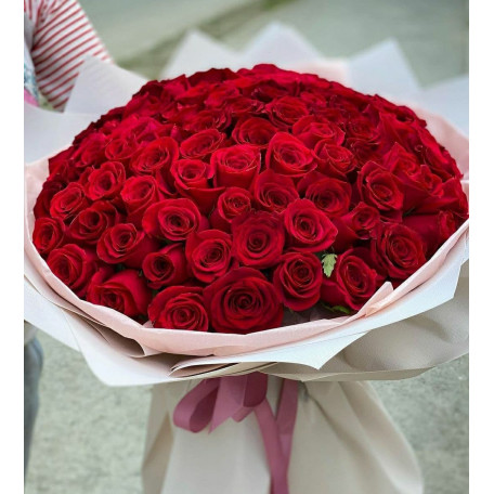 101 красная роза ↑=50 см