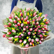151 разноцветный тюльпан
